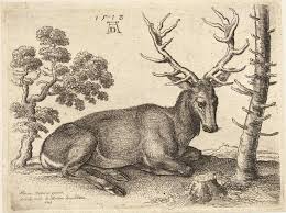 Durer's delineations and prints show repulsive forces of perception united to an accurate system over a scope of various media. 7 Durer Animal Engravings Ideas Albrecht Durer Albrecht Durer Woodcut