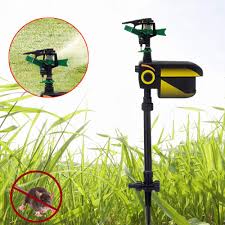 Maybe you would like to learn more about one of these? Dilibee Solar Animal Repellent Water Spray Sprinkler Scarecrow Sensor Motion Adjustable For Repellent Water Animals Protection Area 30 Feet 1000 Square Foot Area Buy Online In Fiji At Fiji Desertcart Com Productid 169983475