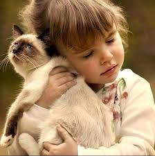 Deja que tus resultados hablen por ti 😉