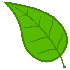 نتيجة بحث الصور عن ورقة شجر Clip Art Leaf Crafts Rainbow Crafts