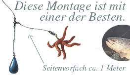 Cormoran tiroler hölzl auftriebsblei das tiroler hölzl ist unverzichtbar für das fischen in strömen, sowie hindernisreichen gewässern gewichte: Erfolgreiche Zanderfangmethode Mit Dem Tirolerholz Bricht Alle Fangrekorde