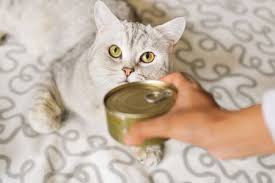 Authority pet food was founded in 1995 and is a part of the powerhouse that is pet smart. How Long To Leave Canned Cat Food Out