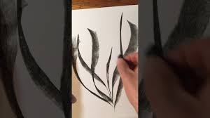 Charcoal drawing demonstration using the subtractive method. How To Draw Flowers Charcoal