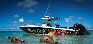 Private Charters In Nassau Bahamas Pig Island Bahamas Swimming Pigs Exuma