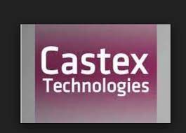 Its today's share price is 0.36. Castex Technologies Nclt Chandigarh Adjourns Hearing On Castex Technologies To February 19