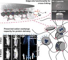 You can easily finish your modeling clay craft by hardening polymer clay in the. Bisphosphonate Nanoclay Edge Site Interactions Facilitate Hydrogel Self Assembly And Sustained Growth Factor Localization Nature Communications