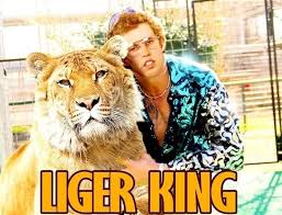 Stream do the chickens have large talons? Do The Chickens Have Large Talons Album On Imgur