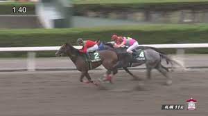 We did not find results for: ã¨ã«ã ã¹ãã¼ã¯ã¹2018 äºæ³ãªããº åºèµ°äºå®é¦¬ ã¨ã«ã ã®è±è¨è'ã¯ ä¿¡é ¼ é«è²´