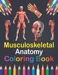 Flex those brain muscles with the musculoskeletal ebook library! Musculoskeletal Anatomy Coloring Book Human Body And Human Anatomy Learning Workbook Muscular System Coloring Book Kids Anatomy Coloring Book Human Paperback Brain Lair Books