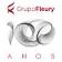 Logo de Grupo Fleury
