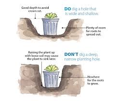 You need to test the soil in order to find out its components. How To Plant Perennials In Four Simple Steps Garden Gate