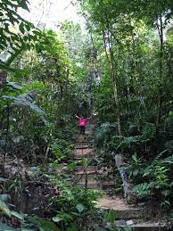 The trail is primarily used for hiking, walking, running, and nature trips. Hiking Bukit Gasing Petaling Jaya Incidental
