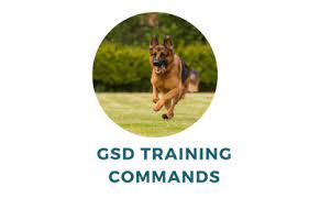 Teach Your Gsd These 29 Essential German Shepherd Training Commands In English And German Dog Behavior Training Dog Training Books Dog Training Techniques