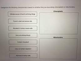 Animal cells have which of the following characteristics select all that apply. From The Following List Of Options Select All That Chegg Com