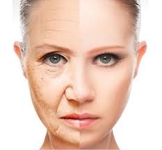 Shop Estetica Ninfea