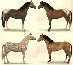 Functional/rideable horses are now in the sims 4 , this is honestly amazing and you need to check it out if youve been dying for horses to come to the sims 4 ! Archive 4 Nez Perce Wallowa Appaloosa Horses Steelbridge Chronicles