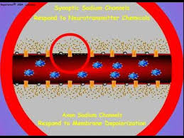 Image result for Pyrethroid