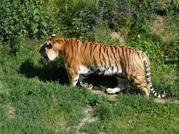 To specify a location on a plane requires a map projection. Zoo Hodonin Picture Of Zoo Hodonin Tripadvisor