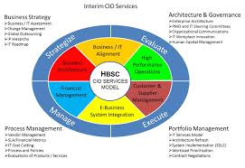 Interim Cxo Services Coo Ceo Cfo Cio Consulting Hbs