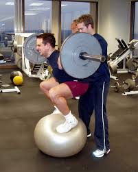 Image result for squatting on a bosu ball