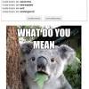Everyday quotes for everyday koala lovers. 1