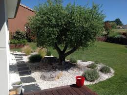 Amenagement Jardin Olivier Les Amenagements Exterieurs De Jardin