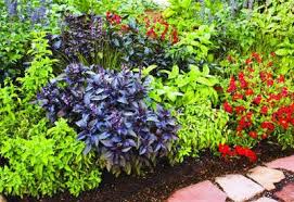 Gardening 101 Planning And Design Guide Planet Natural