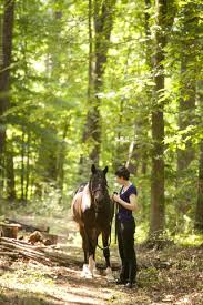 Lessons from Love...and Loss...of Lee