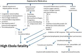 Ebola virus and marburg virus are related viruses that may cause hemorrhagic fevers. Updates In Diagnosis And Management Of Ebola Hemorrhagic Fever Abstract Europe Pmc