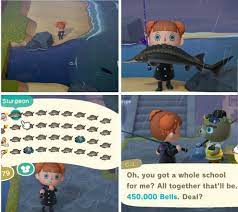 The black sturgeon river is a river in the nelson river drainage basin in kenora district it is on the marchington river downstream of botsford lake and upstream of the river's mouth at abram lake. My Idea To Use My River Mouth As A Sturgeon Farm Worked Wonders Animalcrossing