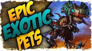 Often, veterinarians will have flea medicine that will make your pet. Top 5 Epic Exotic Hunter Pets In Bfa Youtube