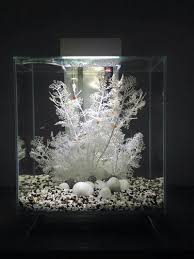 Amazing 50 Stunning Aquarium Design Ideas For Indoor Decorations Https Modernhousemagz Com 50 Stunning Aq Aquarium Design Home Aquarium Aquarium Decorations
