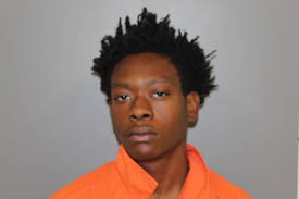 Nelsontae' Nyjhir Greene, 18, of Hemingway, South Carolina, was arrested  and charged by the Williamsburg County Sheriff's Office with Accessory  Before the Fact of a Felony (S.C. 16- 01-0040) and Accessory After