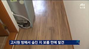 20대 고시원 고독사.jpg - 클리앙