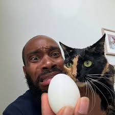 Just a bunch of random thumbnails I subject my cats to 🤣🤣🤣!!