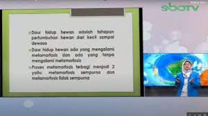Kegiatan ini dilakukan oleh semua warga sebagai refleksi kepedulian mereka terhadap pendidikan. Soal Dan Jawaban Sbo Tv Sd Kelas 4 Rabu 20 Januari Carilah Informasi Tentang Daur Hidup 2 Hewan Surya