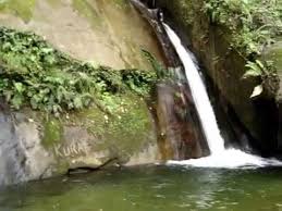 We did not find results for: Video Air Terjun Di Taman Eden 100 Tobasa Youtube