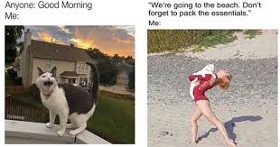 Mega Caturday Gift Bag 55 Memes Caturday Funny Animal Memes Cat Memes