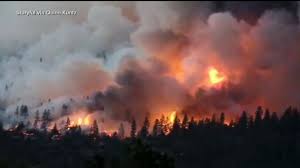 Image result for wildfires