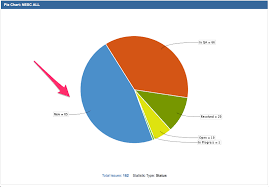 Pie Chart And Project Overview Showing Incorrect Status