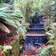 Otono Con Buen Tiempo Pazo De Santa Cruz De Rivadulla Cascada Waterfall Saltosdeagua Otono Autumn Helechos Ferns Santa Cruz Instagram Instagram Posts
