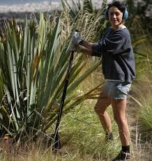 'terrax® | tools for all your digging and ground breaking needs.' The Slammer Tool New Zealand