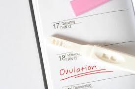 Unmittelbar vor dem eisprung steigt das so genannte luteinisierende hormon (lh) rapide im körper der frau an. Ovulationstest Eisprung Fruchtbarste Tage Bestimmen