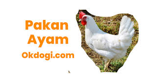 Kyojin adalah campuran pakan buat anakan ayam. 15 Jenis Pakan Ayam Paling Joss Bikin Sehat Dan Gemuk