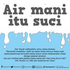 Karena air mani mengandung banyak mineral di dalamnya. Hukum Pakaian Yang Terkena Sperma Air Mani