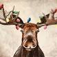Paint Nite: Moosemas Lights event image