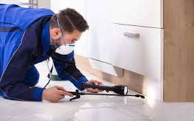 Popular cities with do it yourself pest control locations. How To Select The Right Pest Control Service Cityof Com