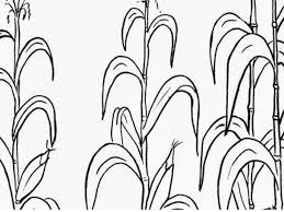 We did not find results for: Detail Gambar 77 Sketsa Gambar Daun Lengkap Terpopuler Dan Cara Membuatnya
