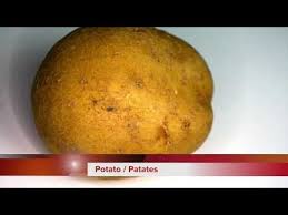 How To Make Potato And Vegetable Battery Pil Nasil Yapilir Mutfak Da Pil Yapilabilenecegini Kanitlamak Icin Yeni Bir Kendin Yap Vi Patates Kendin Yap Mutfak