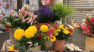 Tanaman dengan daun hijau yang melebar dan mengapung ini sering ditemukan di kolam, rawa, atau danau. Sb Mall Kedai Bunga Segar Di Sb Mall Sbmall Facebook